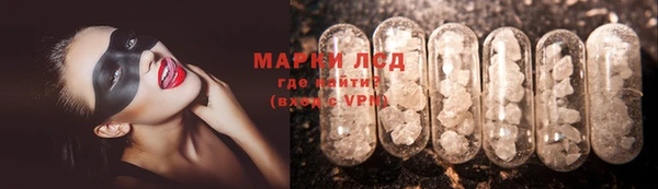 шишки Ельня