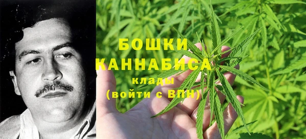 прущие крисы Аркадак
