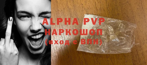 ГАЛЛЮЦИНОГЕННЫЕ ГРИБЫ Заволжье